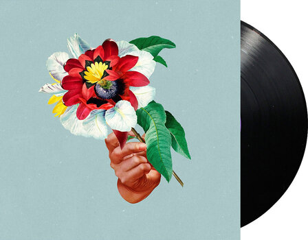 LP ploča Maribou State - Kingdoms In Colour (LP) - 2