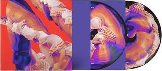 Δίσκος LP Bicep - Isles (Gatefold Sleeve) (Picture Disc) (2 LP) - 1