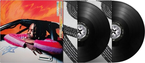 LP deska Salute - True Magic (2 LP) - 2