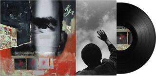 LP ploča Jordan Rakei - What We Call Life (LP) - 1