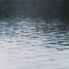 LP ploča Grouper - A I A : Dream Loss (Reissue) (LP) - 4