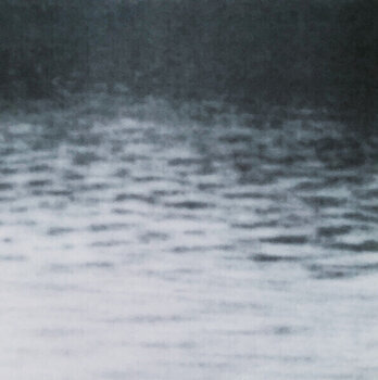 LP ploča Grouper - A I A : Dream Loss (Reissue) (LP) - 5