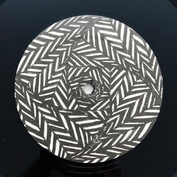 LP ploča Grouper - A I A : Dream Loss (Reissue) (LP) - 4