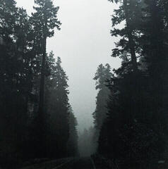 Disc de vinil Grouper - Shade (LP) - 1