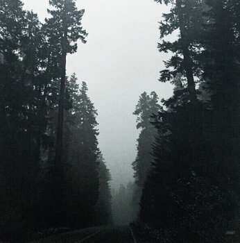 LP plošča Grouper - Shade (LP) - 2