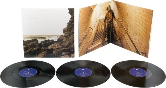 Vinylplade Polygon Window - Surfing On Sine Waves (Gatefold Sleeve) (3 LP) - 2