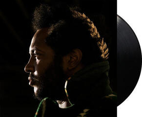 LP ploča Thundercat - Apocalypse (2 LP) - 1