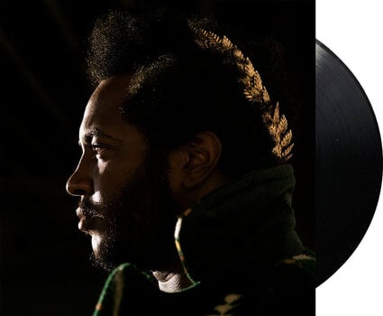Грамофонна плоча Thundercat - Apocalypse (2 LP) - 2