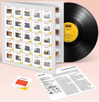 Disc de vinil John Cale - The Academy In Peril (Reissue) (LP) - 2