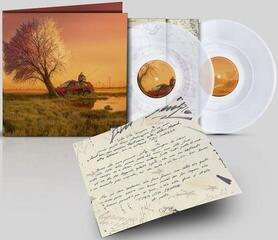 Disco in vinile Olly - Tutta Vita (Sempre) (Clear Coloured) (2 LP) - 1