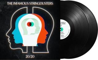 Vinyl Record The Infamous Stringdusters - 20 / 20 (Gatefold Sleeve) (2 LP) - 1