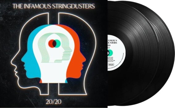 Vinyl Record The Infamous Stringdusters - 20 / 20 (Gatefold Sleeve) (2 LP) - 2