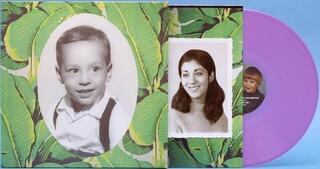 Disco in vinile Sufjan Stevens - Carrie & Lowell (Anniversary Edition) (Reissue) (Violet Coloured) (2 LP) - 2