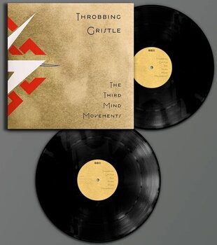 Disco de vinil Throbbing Gristle - The Third Mind Movements (Reissue) (2 LP) - 2