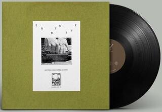 Vinyl Record Tortoise - Rhythms, Resolutions & Clusters (Reissue) (LP) - 1