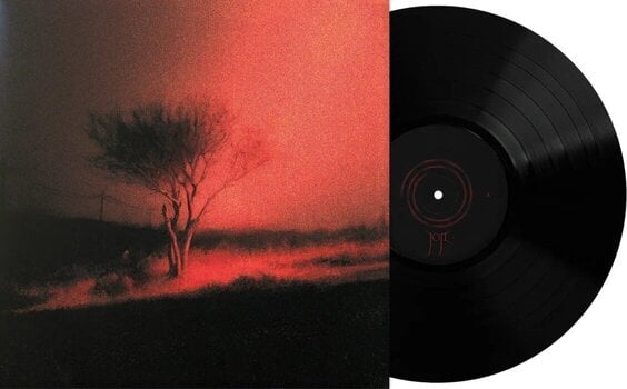 LP ploča Joji - Piss In The Wind (LP) - 2