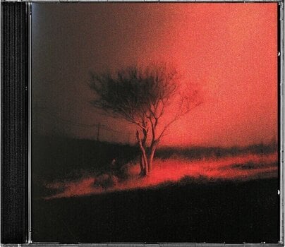 Music CD Joji - Piss In The Wind (CD) - 2