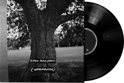 LP ploča Archy Marshall - New Place 2 Drown (Instrumentals) (LP) - 2