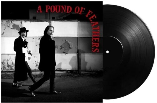 LP ploča The Black Crowes - A Pound of Feathers (180 g) (LP) - 2