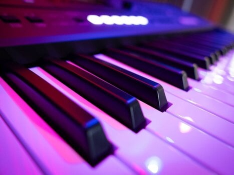 Keyboard with Touch Response Yamaha PSR-E583 Keyboard with Touch Response Black - 15