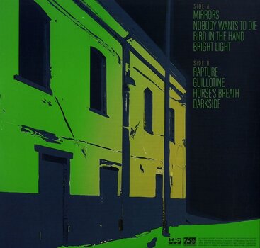 LP ploča Rival Sons - Darkfighter (Clear Coloured) (LP) - 2