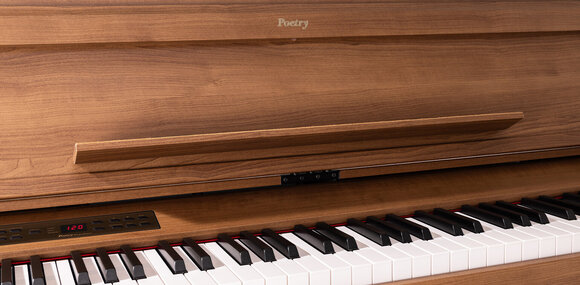 Piano Digitale Korg Poetry Magnifique Poetic Brown Piano Digitale - 9