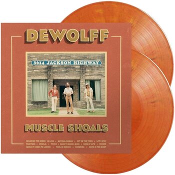 Грамофонна плоча Dewolff - Muscle Shoals (Orange Marble Coloured) (2 LP) - 2