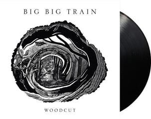 LP ploča Big Big Train - Woodcut (Limited Edition) (2 LP) - 1