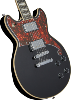 Electric guitar D'Angelico Premier Brighton 2019 Black - 2