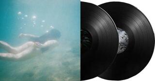 Disc de vinil Ichiko Aoba - Windswept Adan (2 LP) - 1