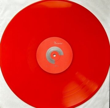 LP ploča 90 Day Men - We Blame Chicago (Reissue) (Box Set) (Super Illuminary Coloured) (5 LP) - 2