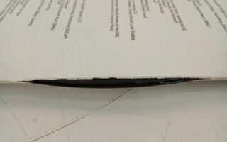 Hanglemez Lana Del Rey - Chemtrails Over The Country Club (LP) (Csak kicsomagolt) - 3