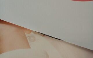 Vinyl Record Lana Del Rey - Born To Die (2 LP) (Just unboxed) - 2