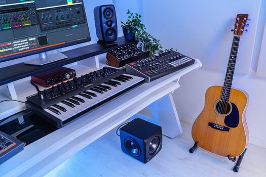 Subwoofer de estúdio IK Multimedia iLoud Sub Subwoofer de estúdio - 13