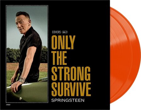 Disc de vinil Bruce Springsteen - Only The Strong Survive (Orbit Orange Coloured) (Limited Edition) (2 LP) - 2