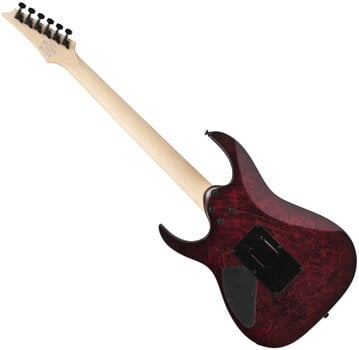 Elektrisk gitar Ibanez RG470DXW-WZM - 2