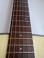 Takamine GLN12E Natural Satin elektroakustisk gitarr