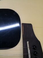 Takamine GLN12E Natural Satin elektroakustisk gitarr