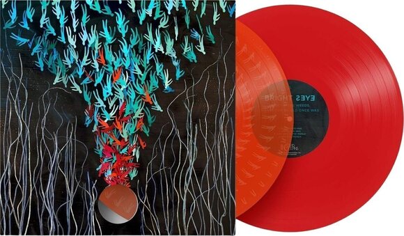 Disc de vinil Bright Eyes - Down In The Weeds, Where The World Once Was (Red Translucent/Transparent Orange Coloured) (2 LP) - 2