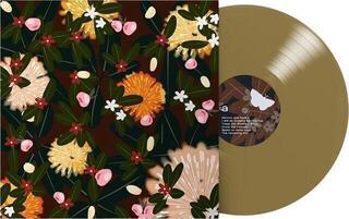 LP ploča Bright Eyes - Noise Floor (Rarities: 1998-2005) (Limited Edition) (Champagne Wave Coloured) (2 LP) - 1