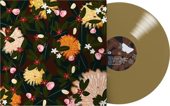 Disc de vinil Bright Eyes - Noise Floor (Rarities: 1998-2005) (Limited Edition) (Champagne Wave Coloured) (2 LP) - 2