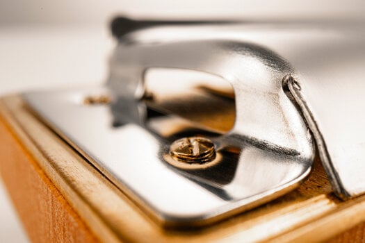 Dijatonske usna harmonika Hohner Marine Band 1896 Classic Db-Richter Dijatonske usna harmonika - 9