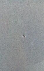 Set akustičnih bubnjeva Mapex MA529SFDT Mars Birch Diamond Sparkle Set akustičnih bubnjeva (Polovno) - 3