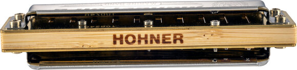Diatonische mondharmonica Hohner Marine Band Thunderbird Richter-LE ( Low E ) Diatonische mondharmonica - 3