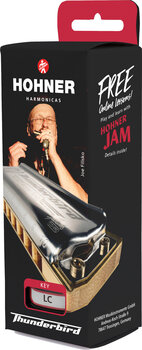 Diatonische mondharmonica Hohner Marine Band Thunderbird Richter-LE ( Low E ) Diatonische mondharmonica - 11