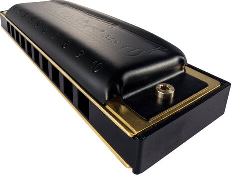 Diatonisk mundharmonika Hohner Pro Harp MS Richter-B(H) Diatonisk mundharmonika - 7