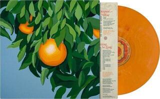Vinylplade Tyler Ballgame - For The First Time, Again (Orange Coloured) (LP) - 1