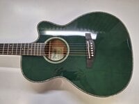 Takamine LTD2025 Gloss Antique Evergreen Elektroakustická gitara