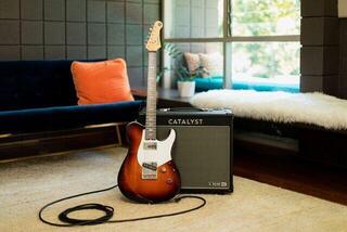 E-Gitarre Yamaha Pacifica SC Standard Plus 11S Desert Burst E-Gitarre - 5