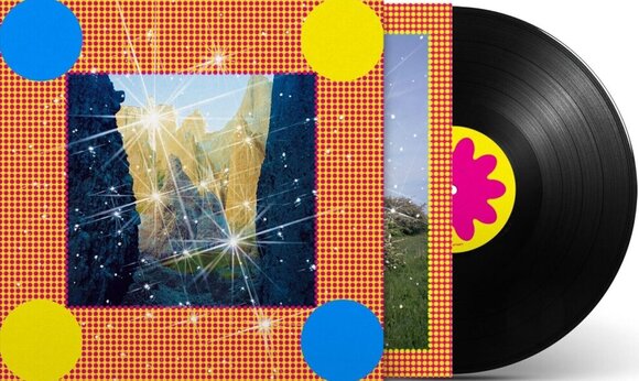 Disc de vinil Caribou - Honey (LP) - 2